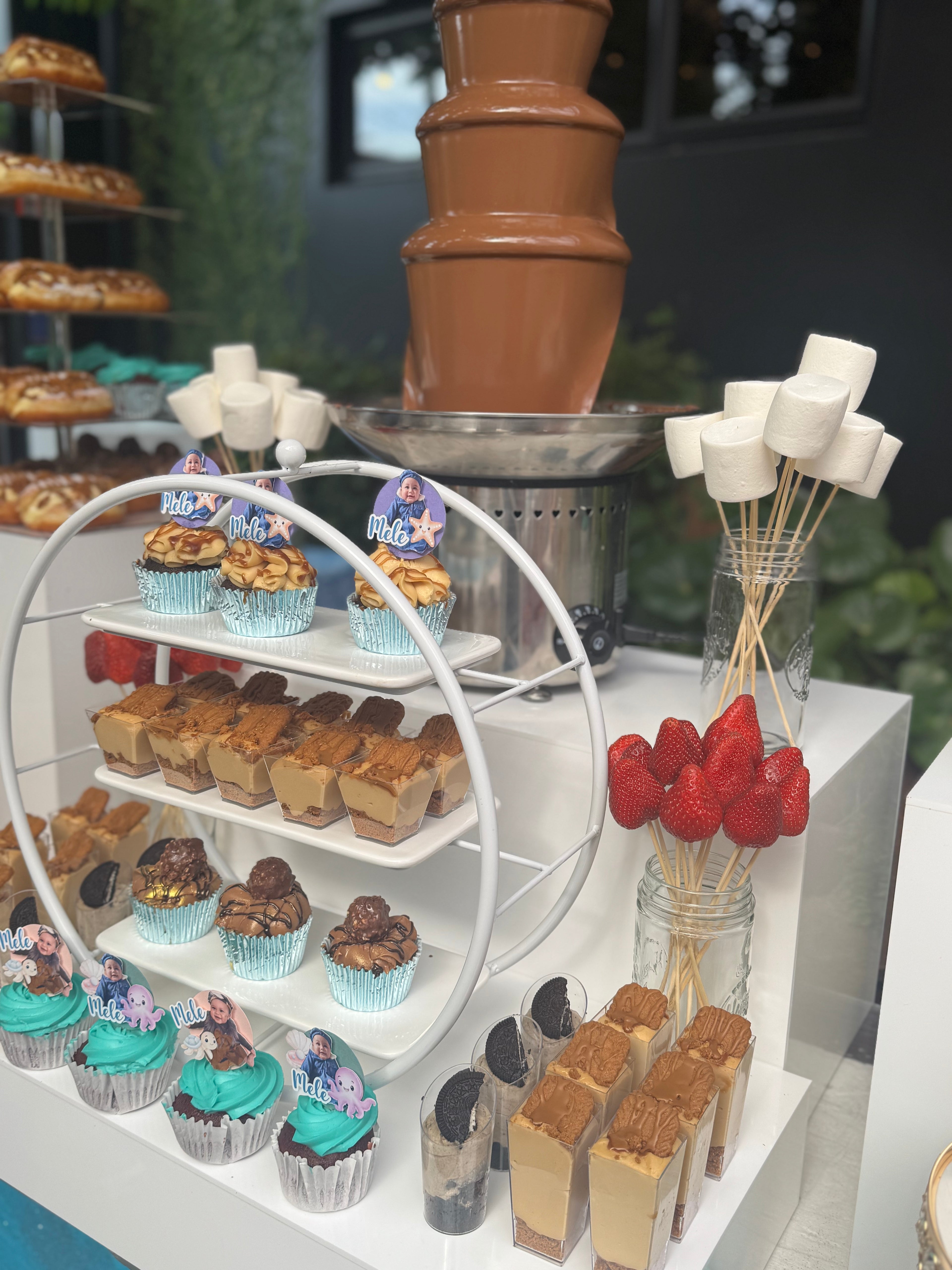Chocolate Fountain Hire